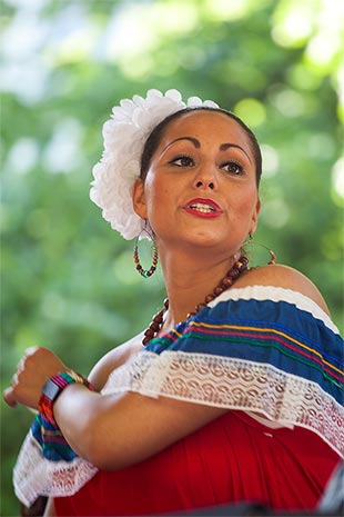 Karneval der Kulturen 2013