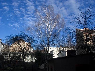 Blick in den Hinterhof