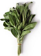 Salbei